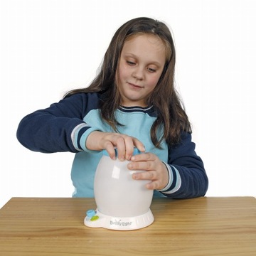 Ночник - Обсерватория насекомых Багги-Лайт