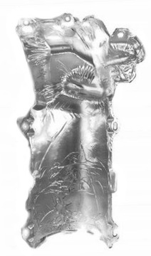 ТЕПЛОВОЙ ЭКРАН КАТАЛИТИЧЕСКОГО НЕЙТРАЛИЗАТОРА CITROEN PEUGEOT 1.4 1723Y4