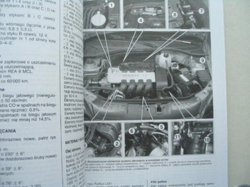 Ремонт RENAULT CLIO II Renault CLIO 2002- Строительный ремонт Renault Clio II