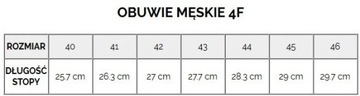 Męskie klapki japonki na lato 4F H4L22-KLM006 40