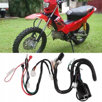 Главный жгут проводов мотоцикла