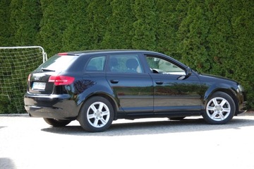 Audi A3 8P Hatchback 3d 1.6 102KM 2010 Audi A3 Lift Automat 5drzwi1.6MPI Klimatronic Alu Lato+Zima, zdjęcie 15