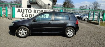 Volkswagen Golf V Hatchback 2.0 TDI 140KM 2004 Volkswagen Golf Stan bardzo dobry., zdjęcie 6