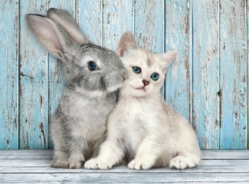 PUZZLE 500 el. CAT & BUNNY KOTEK I KRÓLICZEK