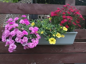 Цветочный горшок для европоддонов, подставка для цветов Easy 37, розовый