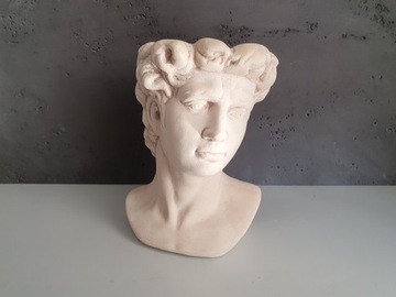 Крышка Цезаря Голова Цветочный Горшок Украшение Чаша ПОДАРОК