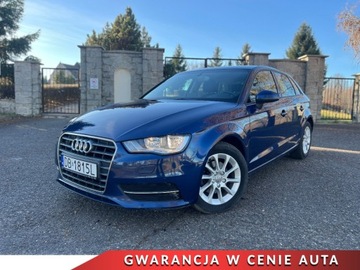 Audi A3 8V Hatchback 3d 1.6 TDI clean diesel 110KM 2014 Audi a3 Audi A3 Sporback 1.6 TDI 110KM Bang Olufsen Ambiente 1.6 Diesel