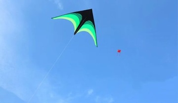 Семицветные цветы, кайтсерфинг, свежие игрушки, ткань, 3 года