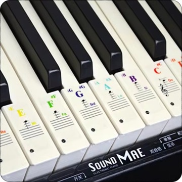 НАКЛЕЙКИ-НОТЫ для обучения игре на клавиатуре, буквенном фортепиано, ЦВЕТОВАЯ ДИАПАЗОНИЯ для клавиш