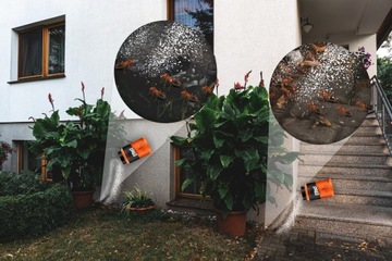 СИЛЬНЫЙ ПОРОШОК МУРАВЬЕВЫЙ ПРЕПАРАТ МУРАВЬИНЫЕ ГНЕЗДА МУРАВЬЕВЫЕ ГОРКИ ЭФФЕКТ 100Г