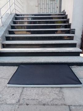 Коврик переходный дезинфицирующий 40х50х4