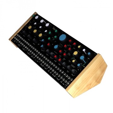 Модульный парафонический синтезатор Pittsburgh Taiga