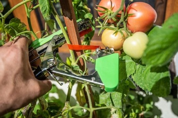 САДОВЫЙ НАБОР УСТРОЙСТВО ДЛЯ ПОДВЯЗКИ РАСТЕНИЙ 25М + ЛЕНТА 10 ШТ. СКОБЫ