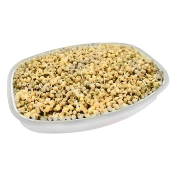 Контейнер для рассады SPRINGING BOWL с ситечком и крышкой