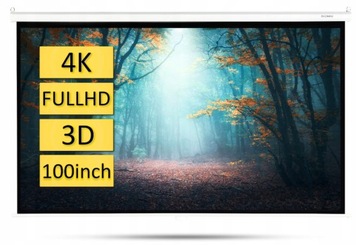БОЛЬШОЙ ЭЛЕКТРИЧЕСКИЙ ПРОЕКЦИОННЫЙ ЭКРАН 4K FULL HD 16:9 ПОРТАТИВНЫЙ ОФИС ПРЕМИУМ-класса
