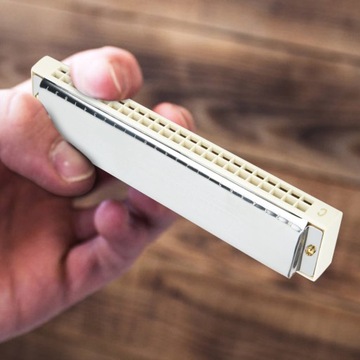 Профессиональная губная гармоника.Диатоническая арфа.