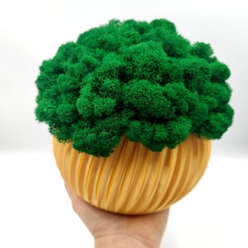 Вазон с мхом хроботек, 23 см, мох хроботек в золотом горшке, 3D печать