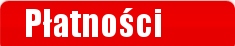 Zacisk masowy kleszczowy 250A SOLIDNY G1