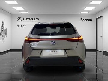 Lexus UX 2022 Lexus UX 250h GPF F Impression 2WD, zdjęcie 3