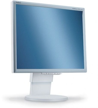 Markowy biurowy monitor LCD 19''