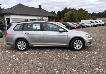 Volkswagen Golf VII Variant 1.6 TDI CR DPF BlueMotion Technology 105KM 2014 Volkswagen Golf 1.6D 105KM przeb.186tys ksiazka xenon zarejestrowany 1.6, zdjęcie 3