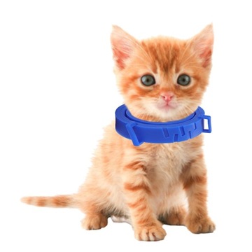Регулируемый шейный ремень для собак от блох Acari Tick Remedy Cat синий 38см