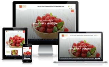 Создание сайтов CMS RWD SEO