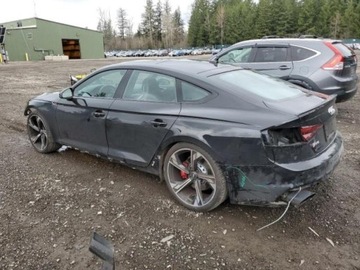 Audi A5 F5 2019 Audi RS5 2019r., 4x4, 2.9L, zdjęcie 3