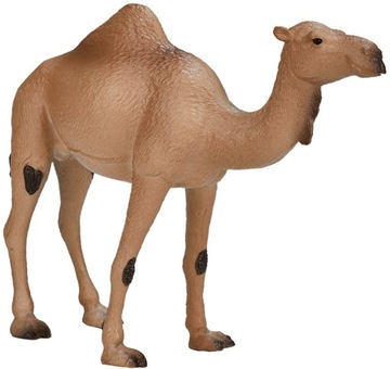 Animal Planet figurka WIELBŁĄD ARABSKI 16cm