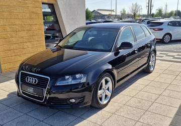 Audi A3 8P Hatchback 3d 1.9 TDI 105KM 2009 Audi A3 1.9Tdi Klimatronik Tempomat 5drzwi Alu..., zdjęcie 1