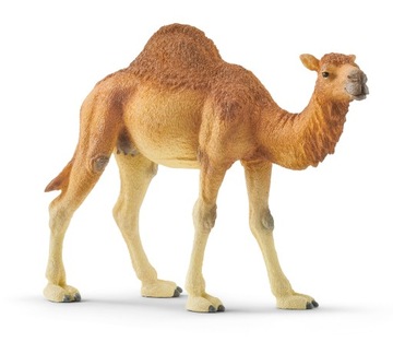 SCHLEICH 14832 WIELBŁĄD DROMADER