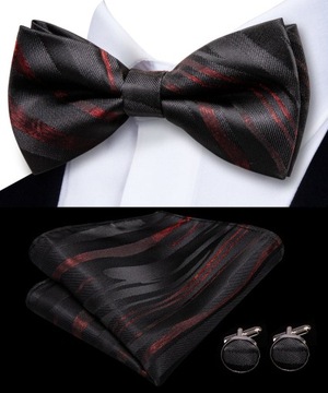 Elegancki zestaw Mucha Poszetka Spinki wys24