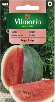 ARBUZ KAWON SUGAR BABY 1 G VILMORIN EXOTIC HOBBY