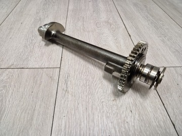 TRIUMPH SPEED TRIPLE 1050 WALEK BALANSER BALANSUJACY ST TIGER BALANS