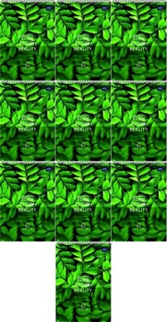 ZESZYT W KRATKĘ A6 Interdruk 100 kartek MIX WZORÓW x 10