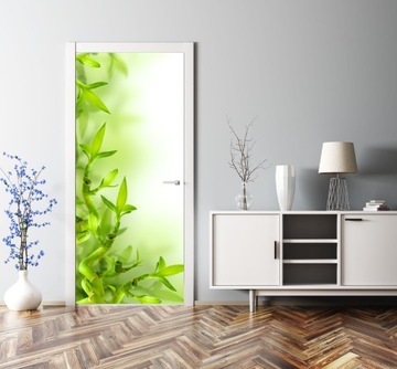 Самоклеящиеся БАМБУКОВЫЕ ФОТОБОИ на двери гардероба