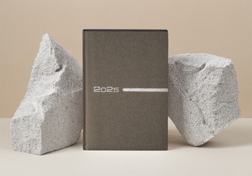 КНИГА КАЛЕНДАРЬ А5 ЕЖЕДНЕВНО 2025 ПЛАНИРОВЩИК ЗАМЕТКИ БИЗНЕС-ДИРЕКТОРА