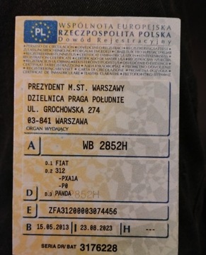 Fiat Panda II Hatchback 5d 1.2 69KM 2012 Fiat Panda I rej 2013r, 1.2 Benzyna. Lekko uszkodzony przod. Jezdzi. 1.2, zdjęcie 20