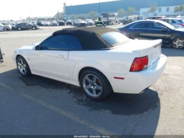 Ford Mustang V 2004 Ford Mustang Cobra 2004 4.6 Benzyna 390KM, zdjęcie 3