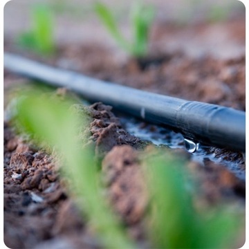 КАПЕЛЬНАЯ ЛИНИЯ КАПЕЛЬНЫЙ ШЛАНГ 16 33см 50м BRADAS