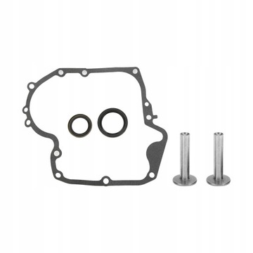 КОМПЛЕКТ РАСПРЕДВАЛА BRIGGS 84005207 793880