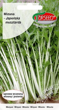 Mizuna zielona musztarda japońska 2g nasiona