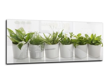 panel szklany między meble dekor 150x60 zioła