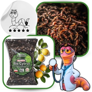 Ziemia do Cytrusów 6l BIO Podłoże do Oliwki Mango Awokado EKO nawóz