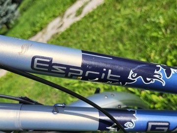 Gazelle Esprit, голландские женские новые велосипедные шины