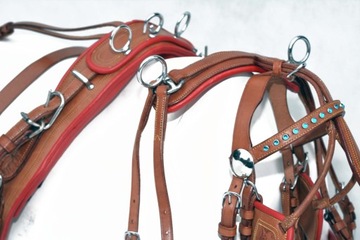 ОДИНАРНЫЙ РЕГУЛЯТОР - РАЗМЕР. ДЛЯ МИНИ ПОНИ 85/110см