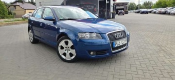 Audi A3 8P Hatchback 3d 1.9 TDI 105KM 2004 Audi A3 Sportback 1,9TDI 105 KM Alu Klima Import Raty Oplaty ASO 1.9, zdjęcie 19