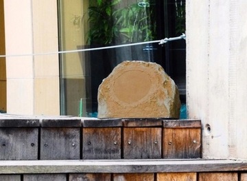 TAGA HARMONY TRS-20 УЛИЧНАЯ САДОВАЯ КОЛОНКА