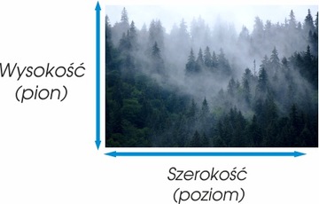 Фотообои на заказ лес в тумане, деревья, природа