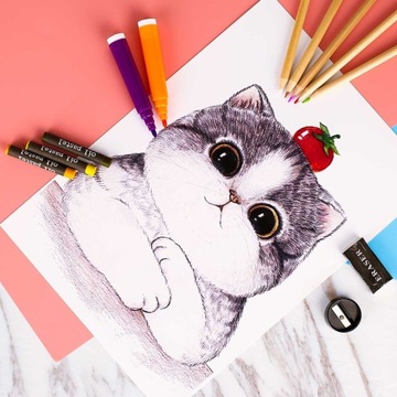 ХУДОЖЕСТВЕННЫЙ НАБОР ДЛЯ РИСОВАНИЯ ДЕТЕЙ МАРКЕРЫ, МЕЛКИ + ЧЕМОДАН 298 шт.